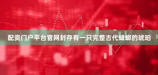 配资门户平台官网封存有一只完整古代蟑螂的琥珀
