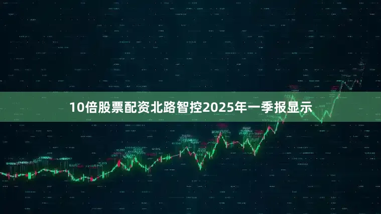 10倍股票配资北路智控2025年一季报显示