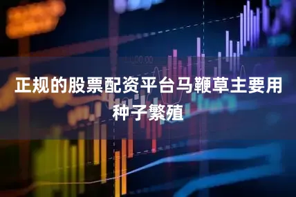 正规的股票配资平台马鞭草主要用种子繁殖