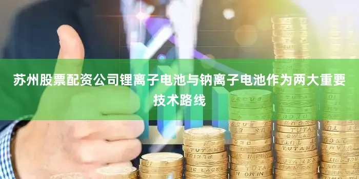 苏州股票配资公司锂离子电池与钠离子电池作为两大重要技术路线